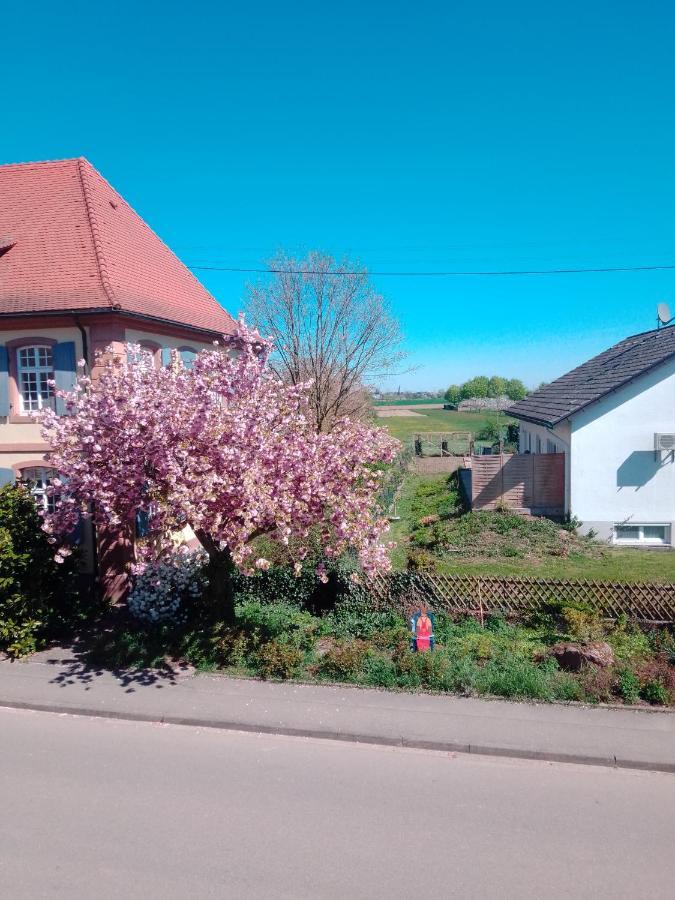 Gaestehaus Brunhilde Wittenweier Luaran gambar